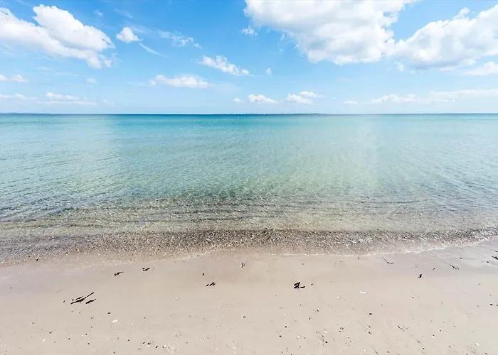 30461-odder-hulager-6 * Odder